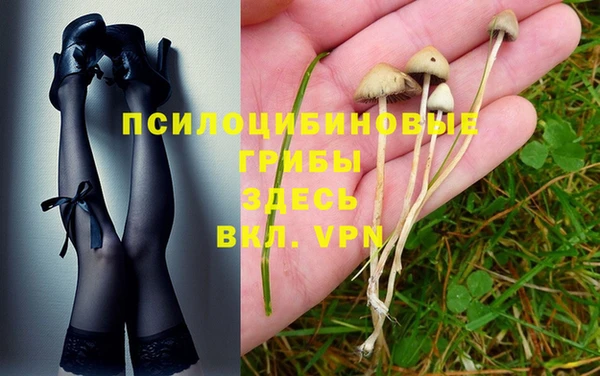 спайс Переславль-Залесский