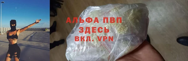 дживик Пестово